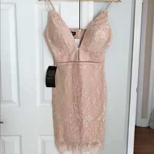 NWT Beautiful Bebe “Phoebe dress” in petal pink